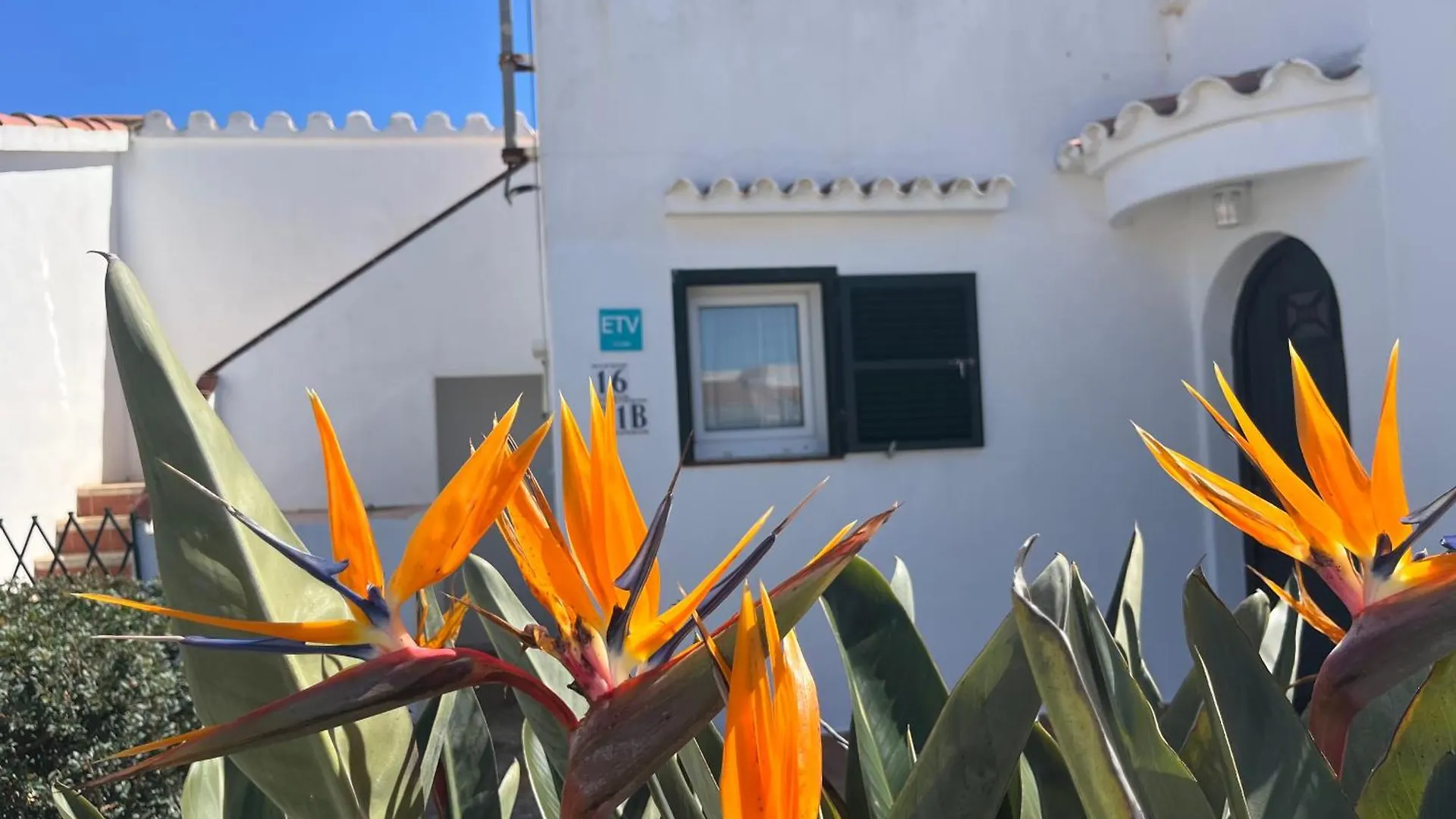 Villa Coral Cala En Porter